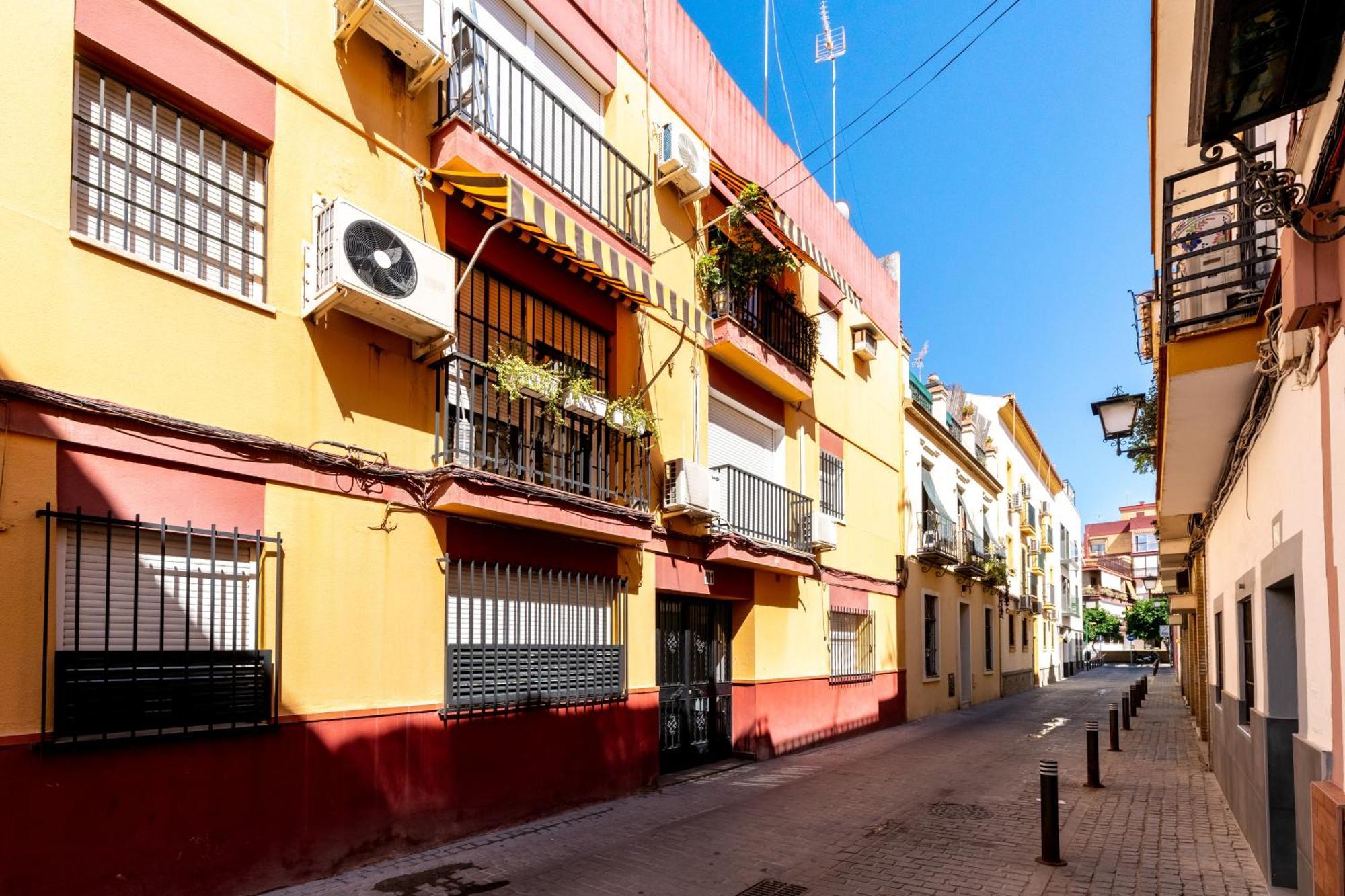 Azahar, Seville